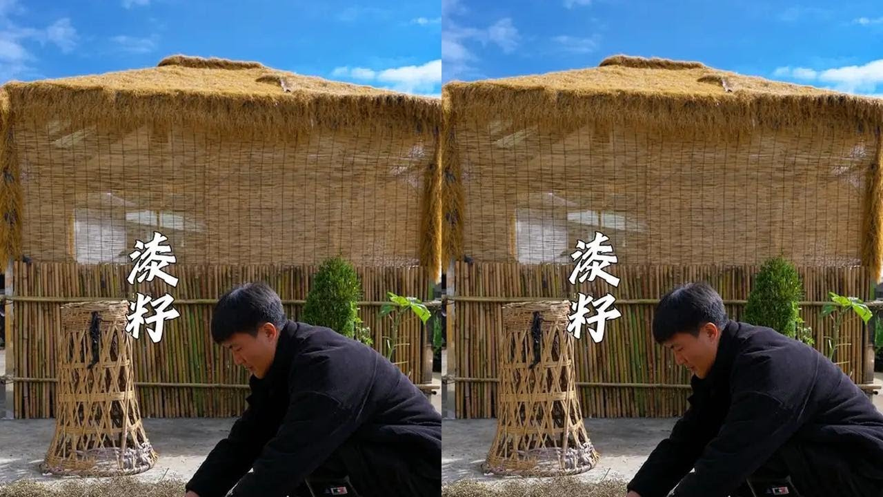 漆油不仅是一种承载着数百年历史的独特食材，更是一部写在餐桌上的生存智慧史。它从令人望而生畏的“毒物”，演变为某些地方少数民族珍视的美味#新农人计划2025#农村美食#大自然的馈赠#漆油#漆油鸡
