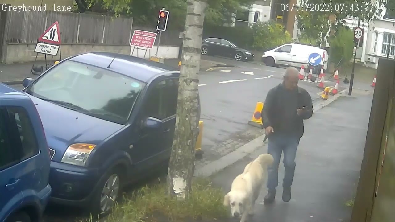 Dog Fouling