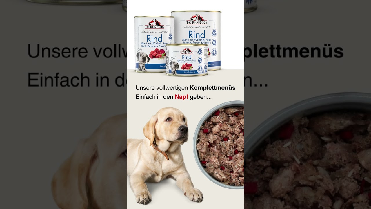 Gesundes Nassfutter f&uuml;r Hunde von TACKENBERG