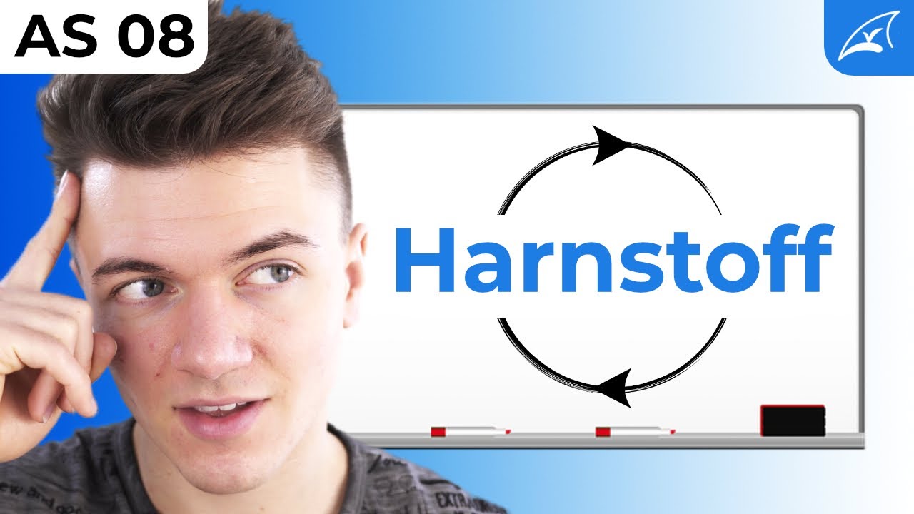 Harnstoffzyklus - einfach erklärt! // Wie die Leber Stickstoff loswird ...