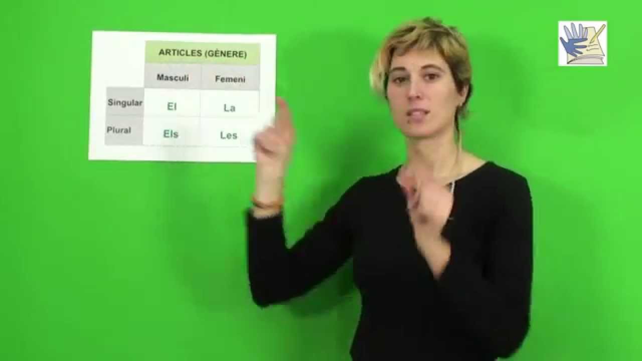 DEAFLI LSC- L'ARTICLE EN LLENGUA CATALANA