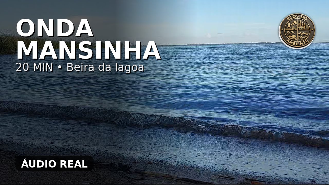 [20MIN] Beira da lagoa: ondas leves e céu azul | Ambiente natural real | Relax