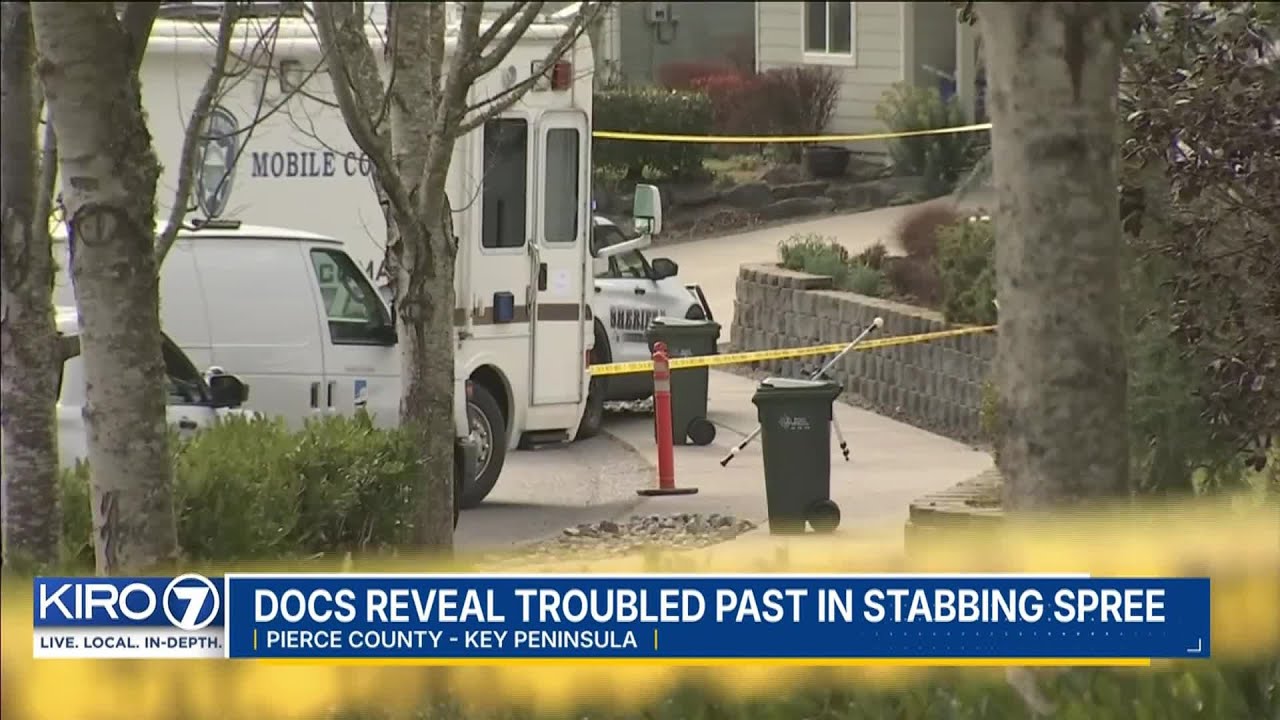 Court docs reveal troubled past of suspect in deadly quadruple stabbing spree