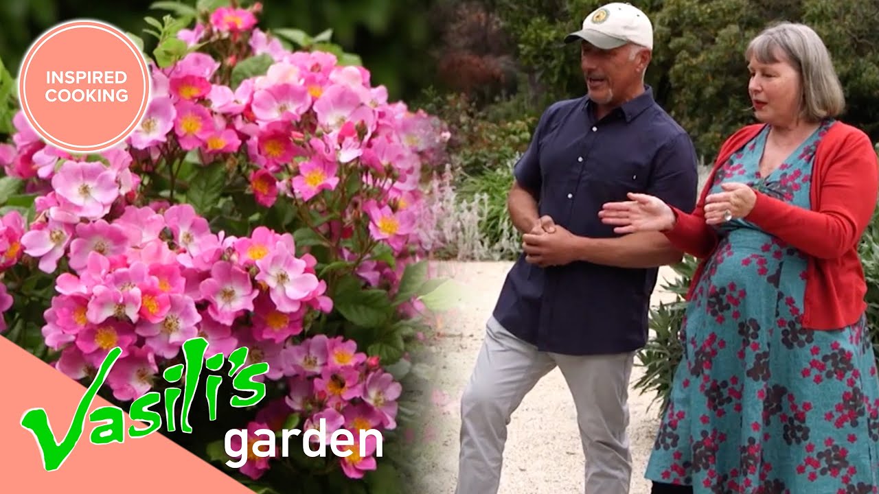 Vasili Meets A Woman That Is Obsessed With Flowers And Plants | Full Episode | Vasili's Garden