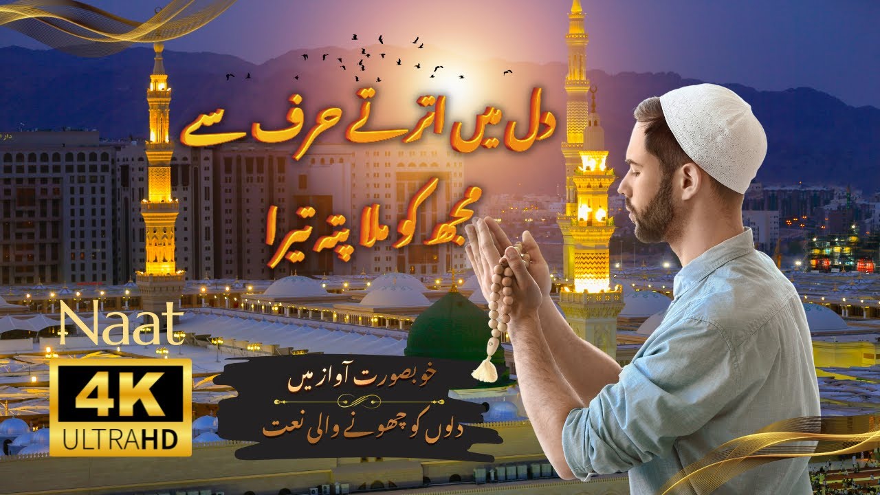 Dil Mein Utarte Harf Se Mujh Ko Mila Pata Tera | Heavenly Voice | Heart Touching Naat | Pakistanium