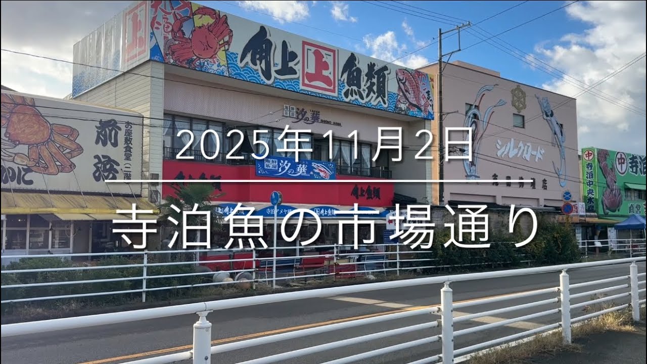 【初公開】新潟県最大級の市場【魚のアメ横】『寺泊魚の市場通り』大漁鮮魚