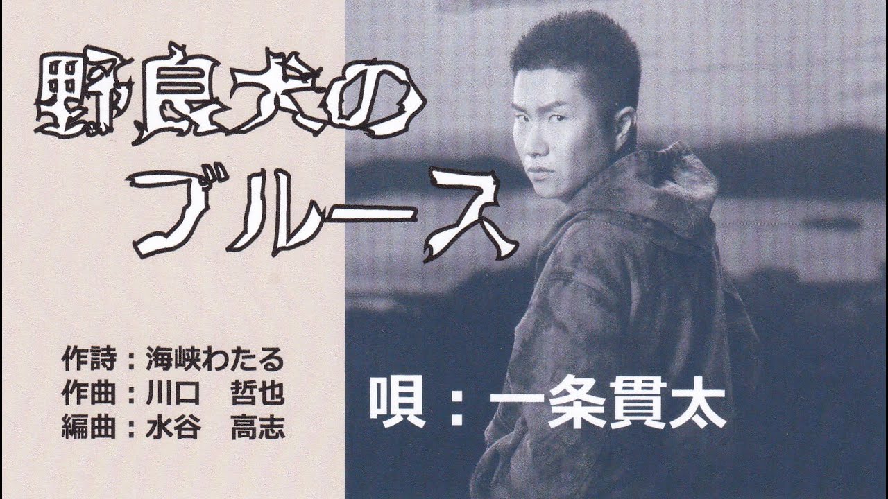 野良犬のブルース（唄：一条貫太）