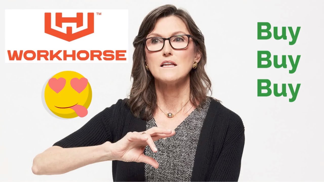 cathie wood from Ark invest loves workhorse stock