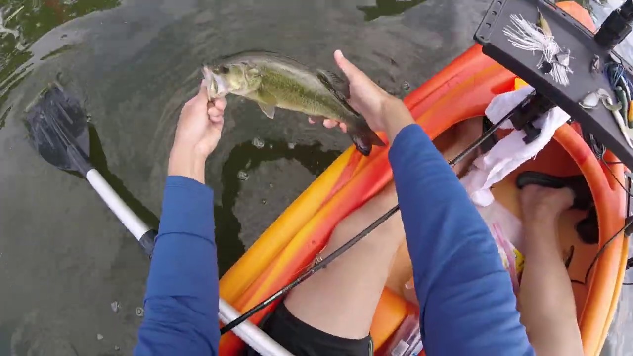 Fishing at Lake Minnetonka Halstead's Bay in Minnetrista Minnesota 6.6.20