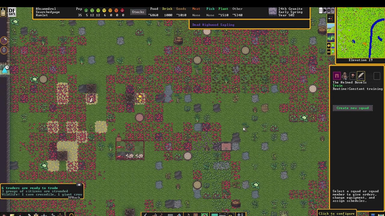 Dwarf Fortress
