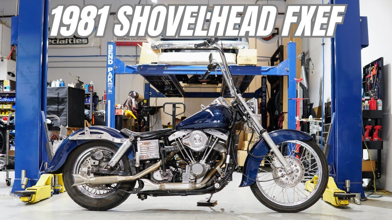1981 Harley Davidson Shovelhead FXEF / ハーレー  ショベルヘッド