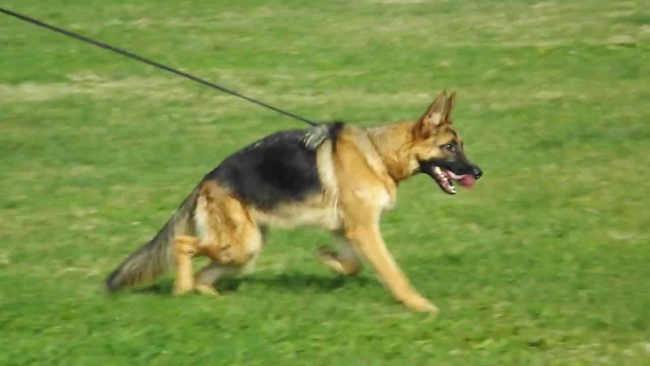 DSCF8160