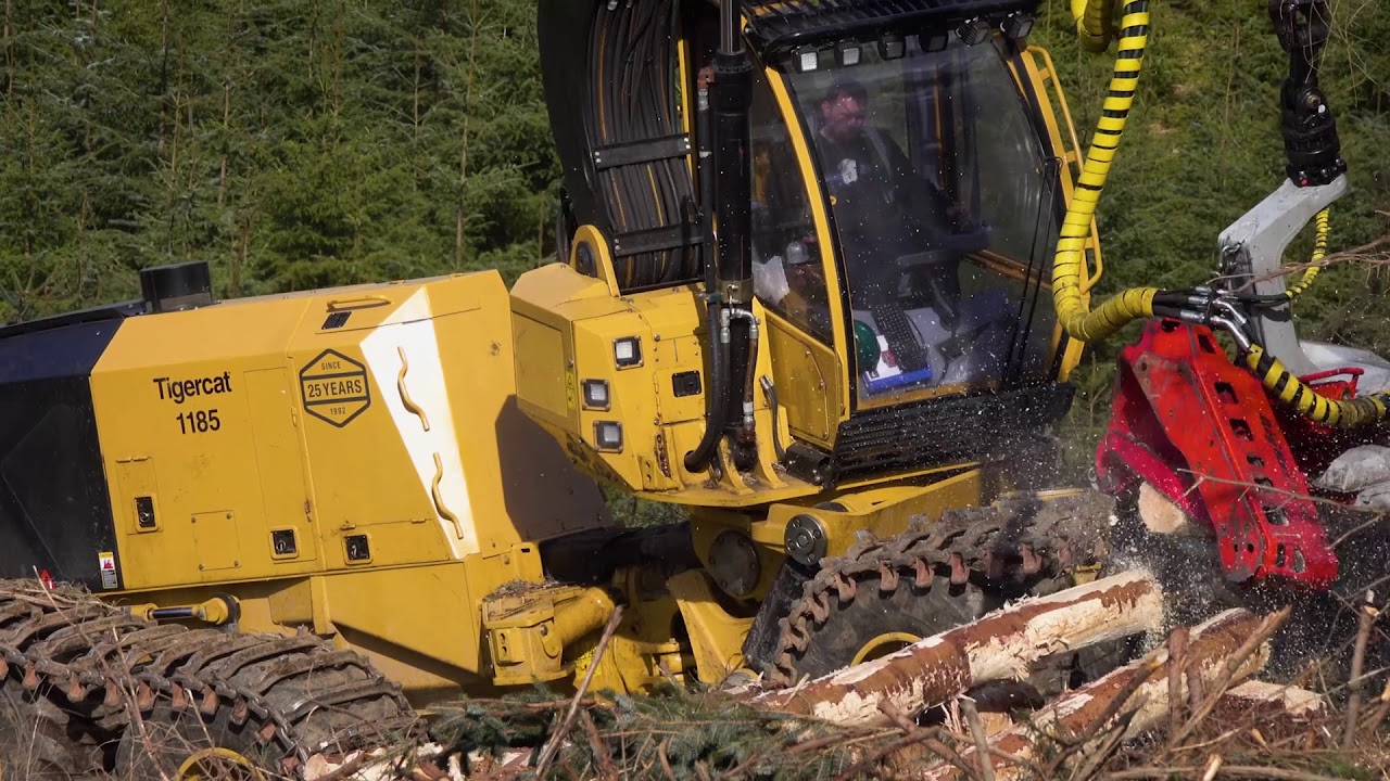Tigercat 1185 Harvester in Scotland