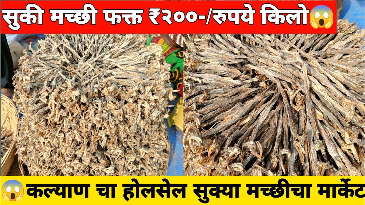 🐠सुकी मच्छी फक्त ₹200 रुपये किलो😱| कल्याण चा होलसेल सुक्या मच्छीचा मार्केट | Kalyan Dry Fish Market