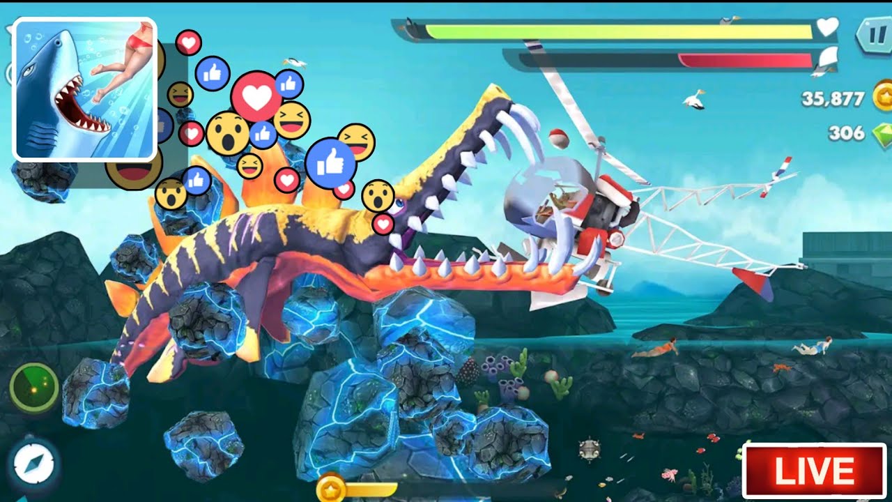 Hungry Shark in Live 🛑 Hungry Shark Evolution Gameplay