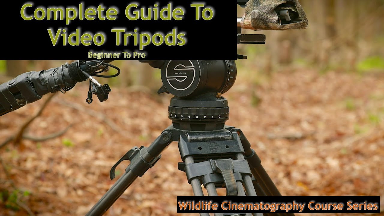 Don't Waste Your Money, Choose The Right Video Tripod