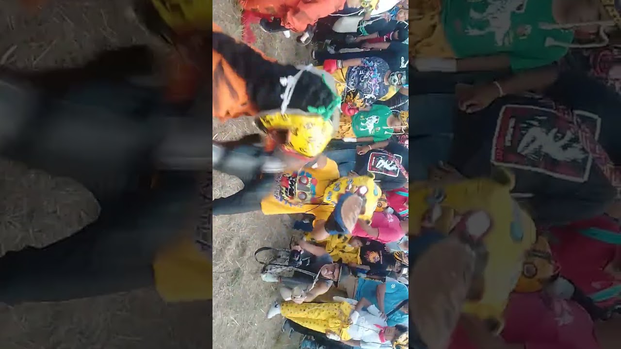 Pelea de tigres Acatlán gro princes lima 3