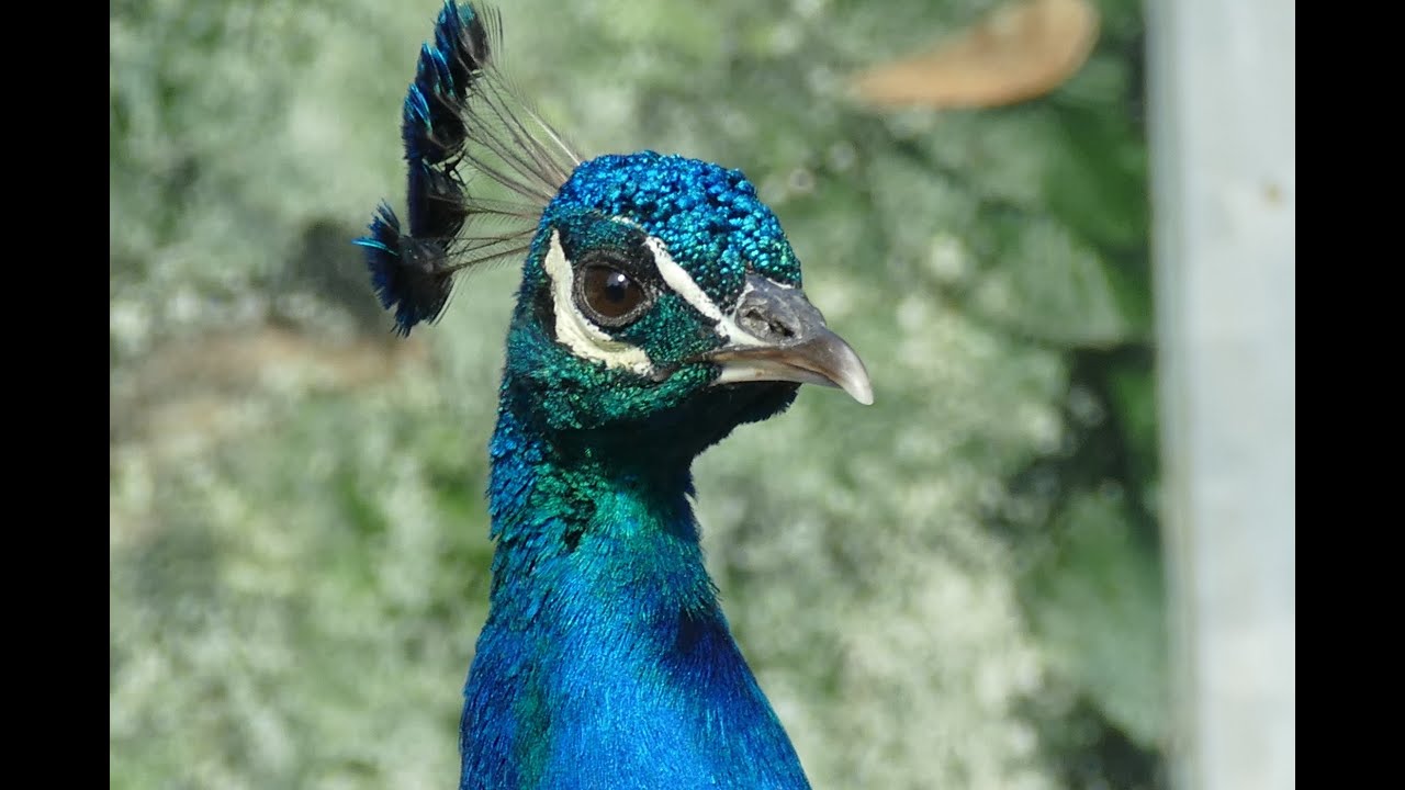 Tierische Momente im Mundenhof Freiburg