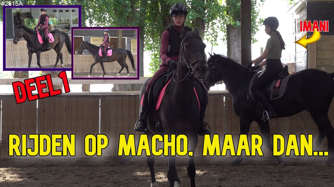 MANEGE LEIDSCHENVEEN, ik Rij vandaag op MACHO. Maar wat blijkt...... Zie zelf maar.  #2615A