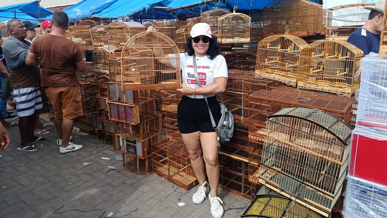 FEIRA DO CORDEIRO E VOCÊ, TUDO HAVER!! GAIOLAS E ACESSÓRIOS.