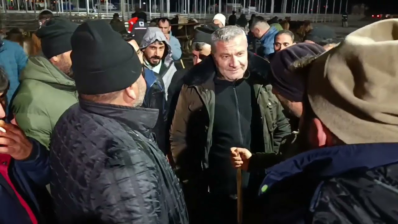 SİVAS ŞARKIŞLA CANLI HAYVAN PAZARI .!!! 13 ARALIK 1. bölüm Türkiye'nin en büyük pazarı 