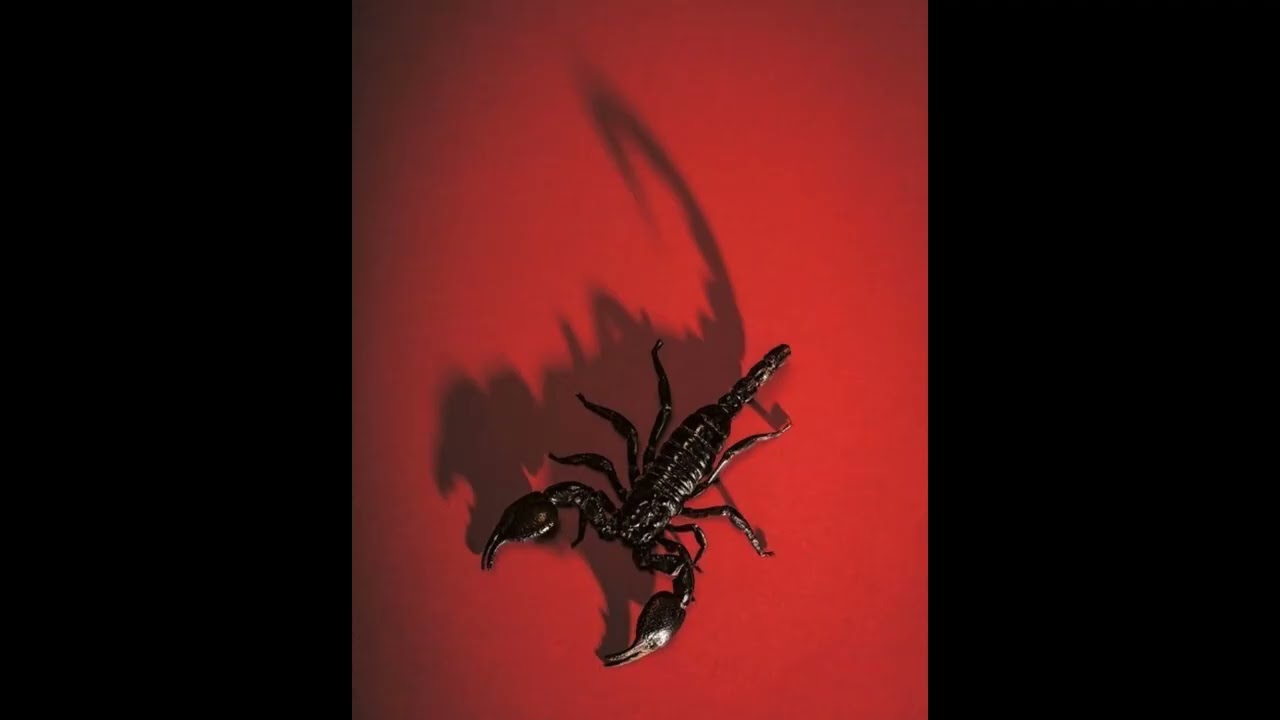 (FREE) Hamza x MadeInParis x Josman type beat ~ Scorpion