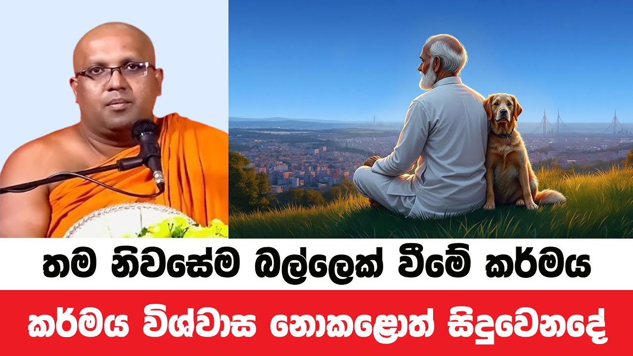 ඔබත් අදම කර්මය විශ්වාස කරන්න මහා යහපතක් වෙනවා | Kelaniye Sasanawansa Thero | Dharmadeshana 213