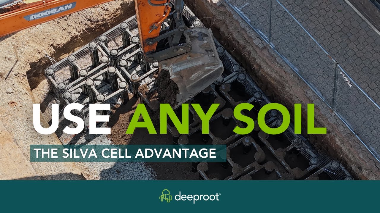 The Freedom to Choose Any Soil with Silva Cells