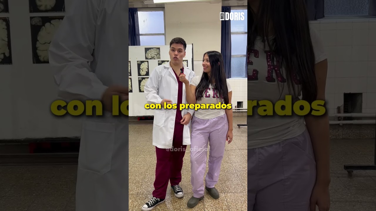 TIPS PARCIAL LOCOMOTOR ANATOMIA #doris #fmed #uba