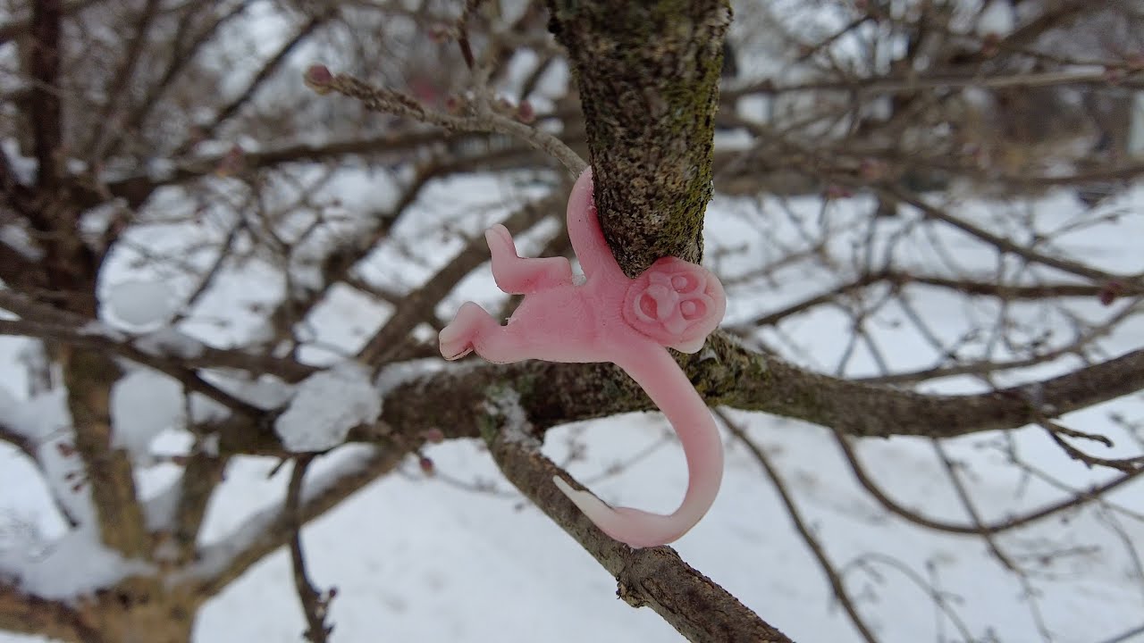 Ann Arbor Snow Walk - Water Hill Neighborhood - 4K 60fps - Michigan Winter