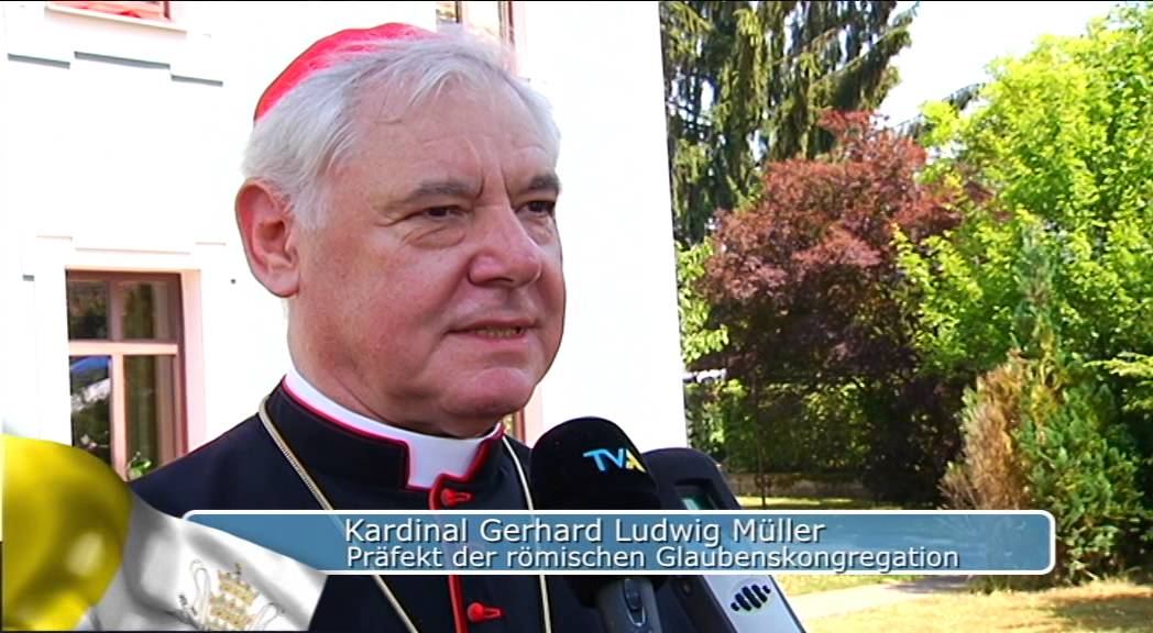 Primiz von Martin Popp
