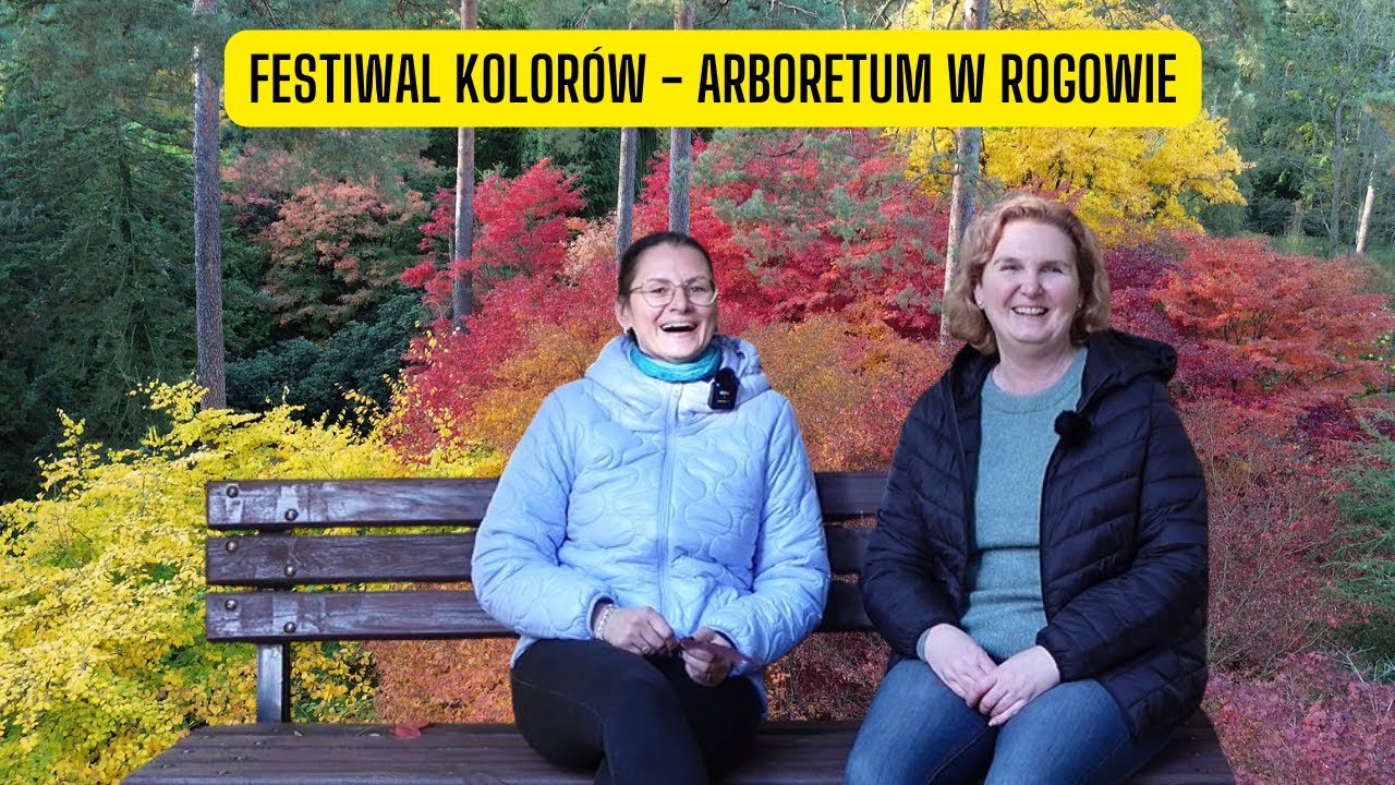 Arboretum w Rogowie – festiwal jesiennych kolorów (kolorowe klony i rośliny)