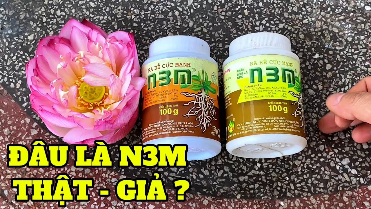 Lại là kích rễ N3M thật giả lẫn lộn?