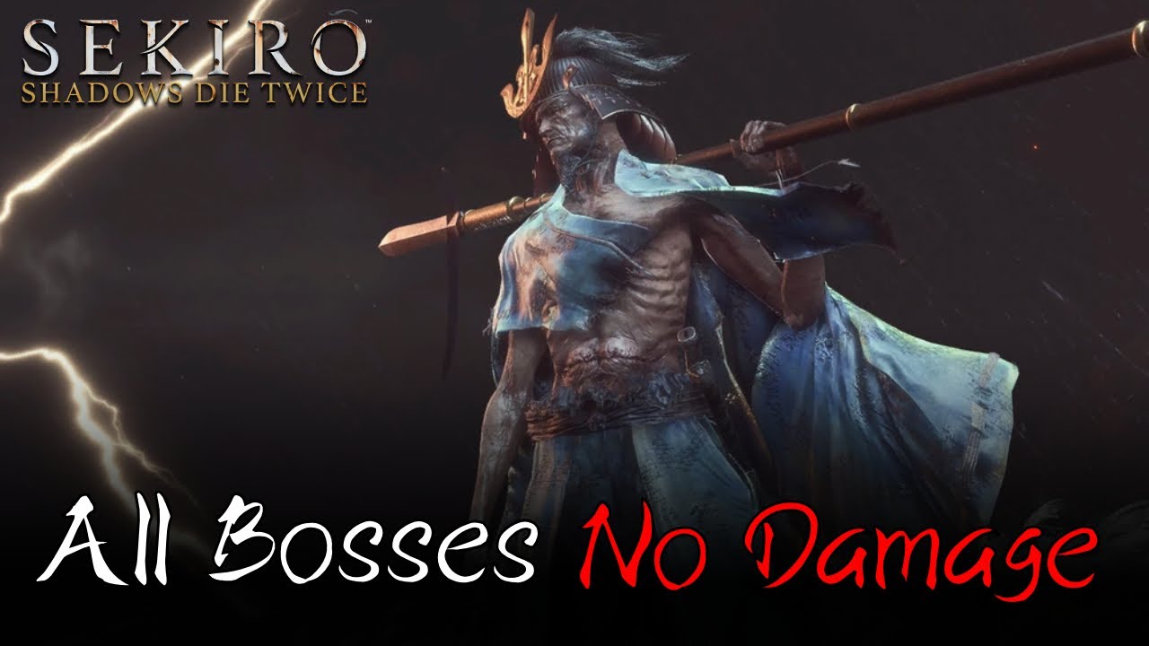Sekiro - All Memory Bosses [No Damage]