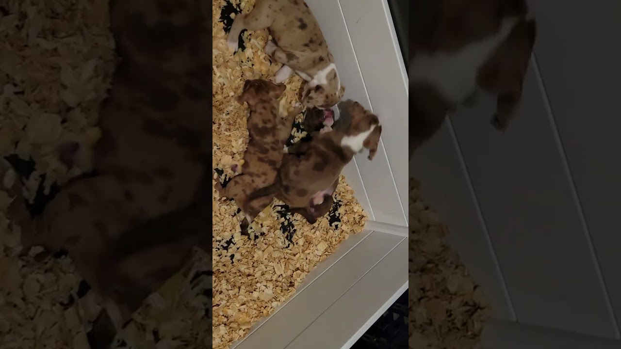 It's bed time but want to play more