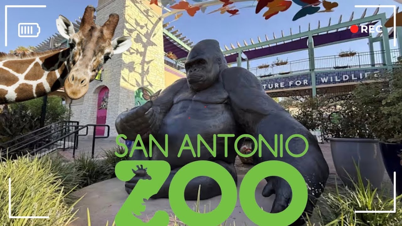 San Antonio Zoo