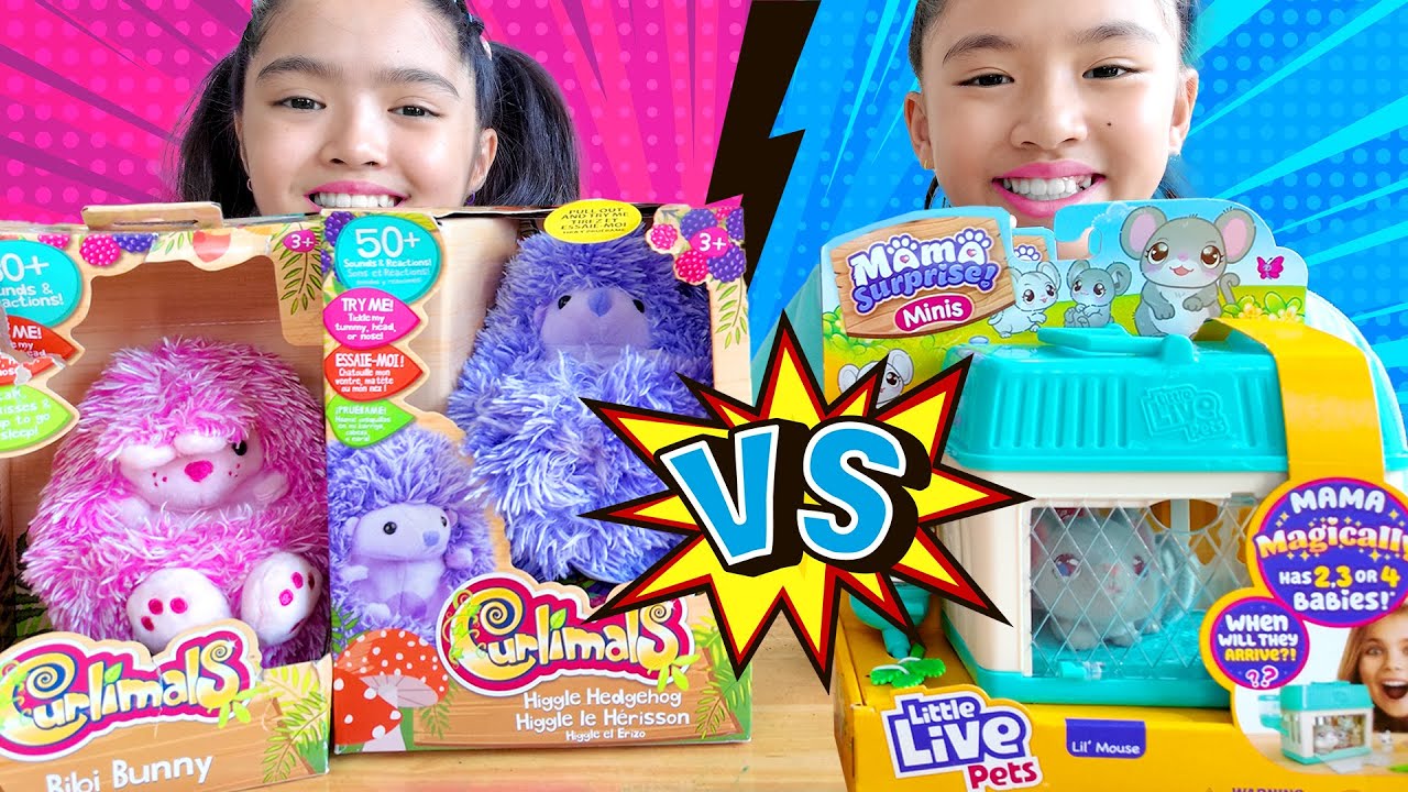 หนูยิ้มหนูแย้ม หนูเซอร์ไพรส์ VS เม่นขด