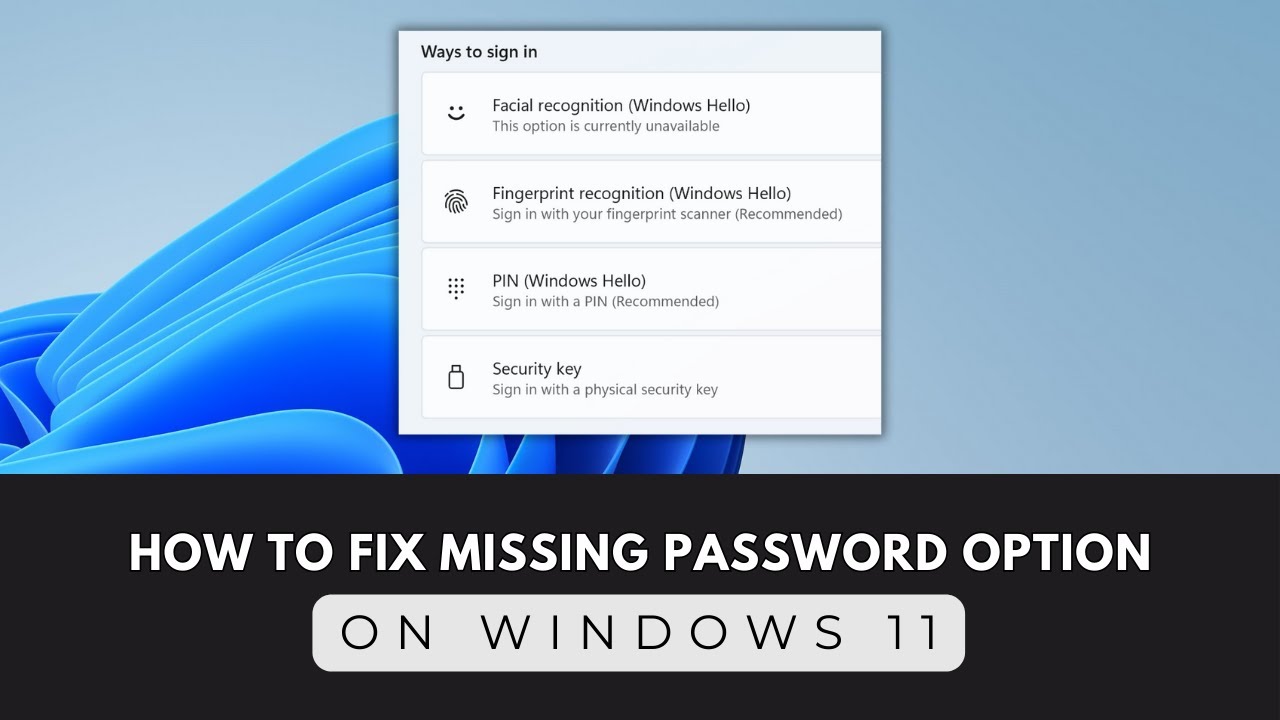 How to Fix Missing Password Option in Windows 11 | Quick & Easy Solution
