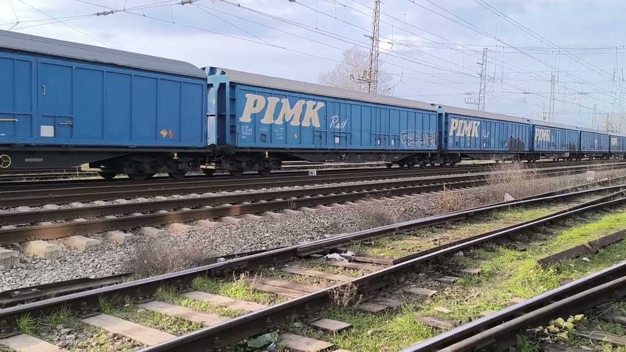 PIMK Rail 80 019 Roxana с ДТВ 20694 