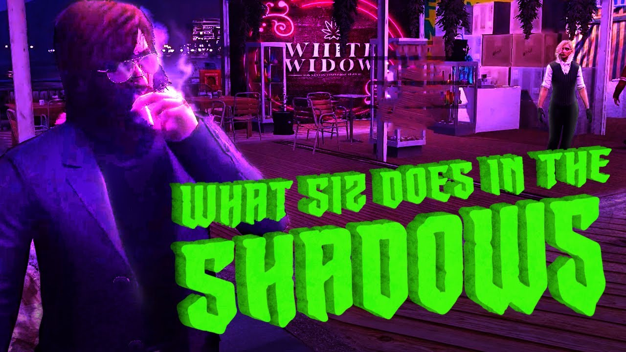 WHAT SIZ DOES IN THE SHADOWS • SIZ: GTA RP HIGHLIGHTS