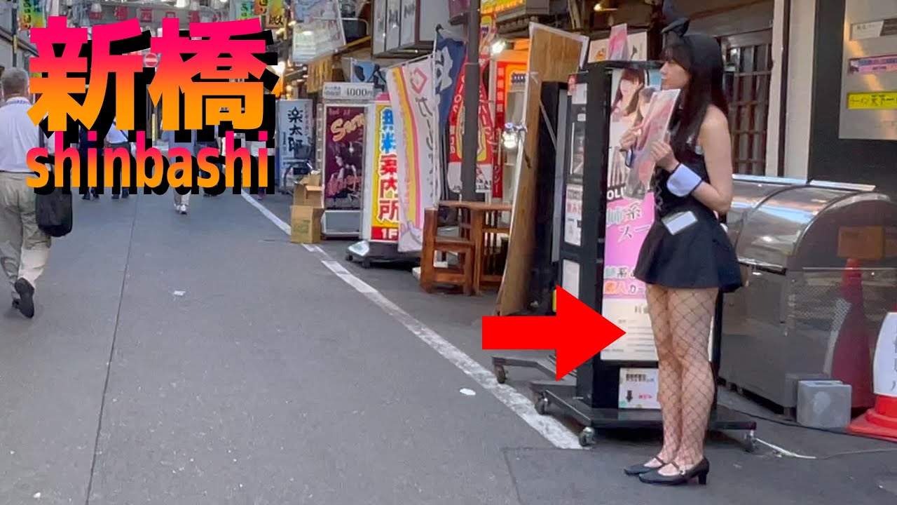 新橋をお散歩【4k 60p】