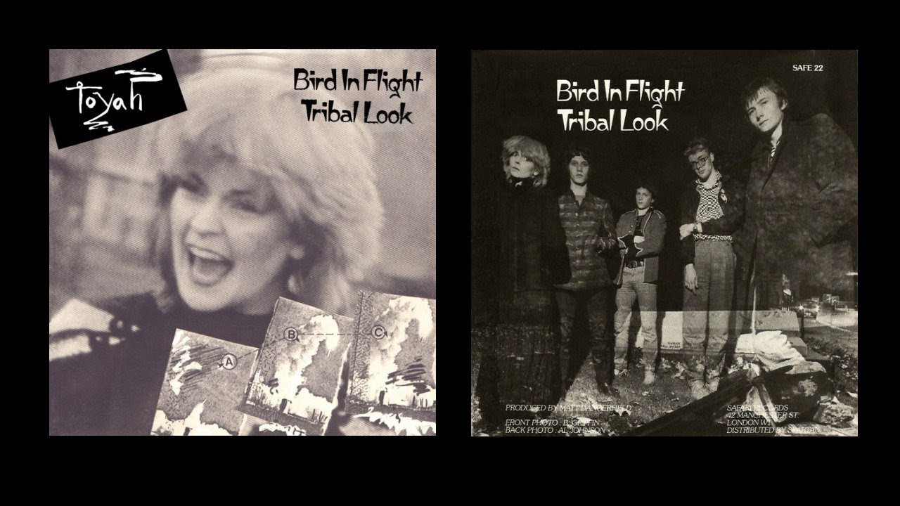 TOYAH Bird In Flight (Audio & Slide)