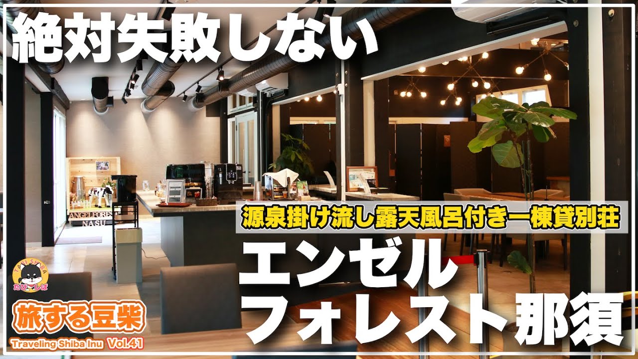 【那須高原×愛犬と泊まれる宿】神回！新規オープンのホテル「ログプレミアム-ルオント-」で源泉掛け流しの客室露天風呂&サウナが最高過ぎた（エンゼルフォレスト那須in栃木）【完全攻略】