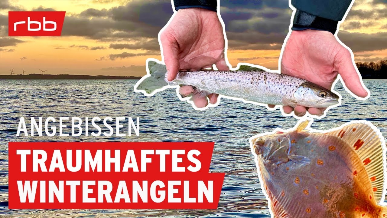 So fangt Ihr Plattfische und Meerforellen | #192 | Angelpodcast