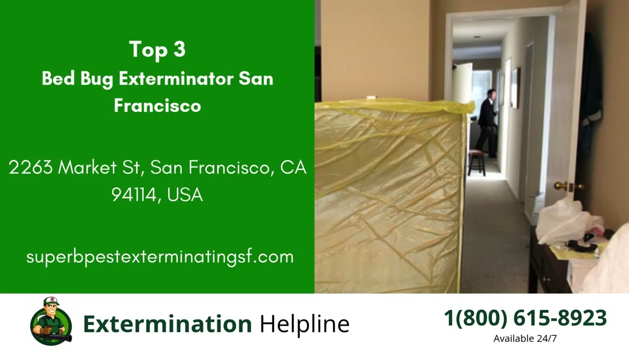 Top 3 Exterminators in South San Francisco