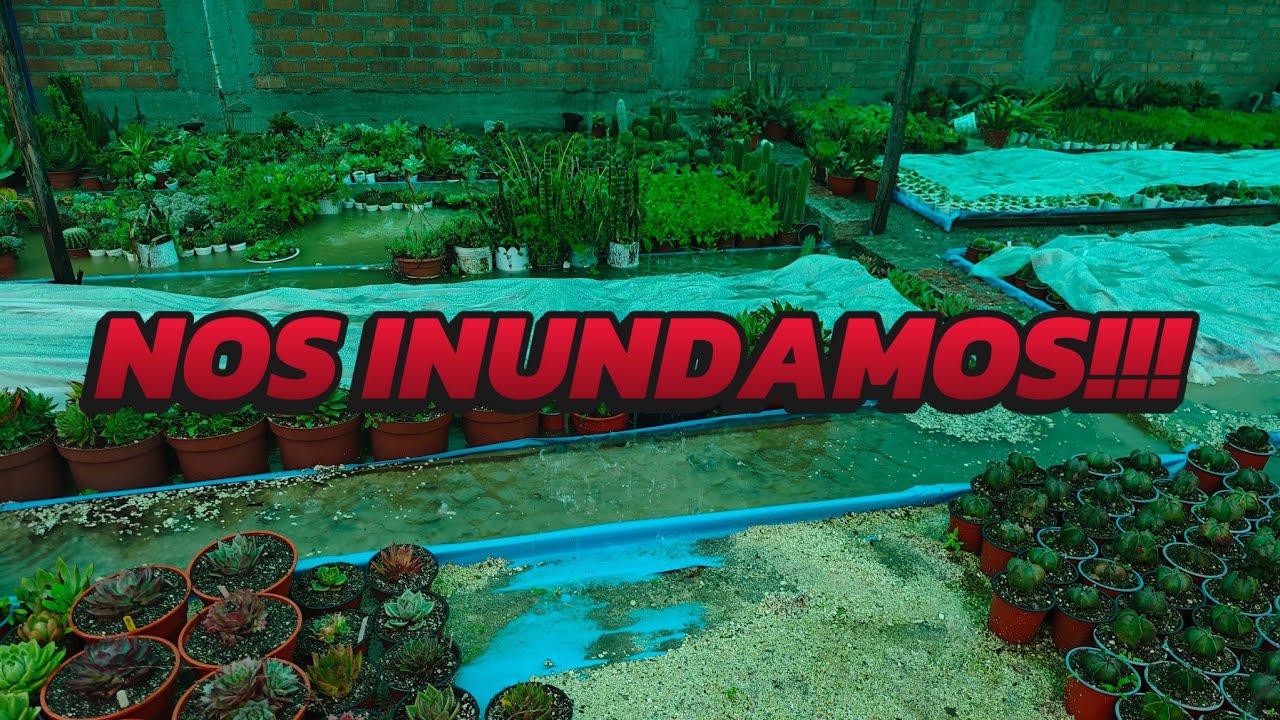 Nos INUNDAMOS !!!