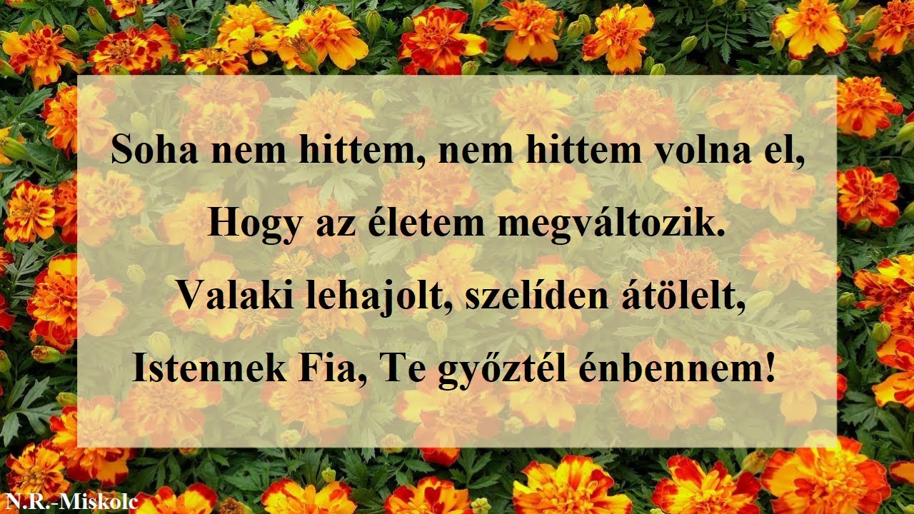 Soha nem hittem, nem hittem volna el