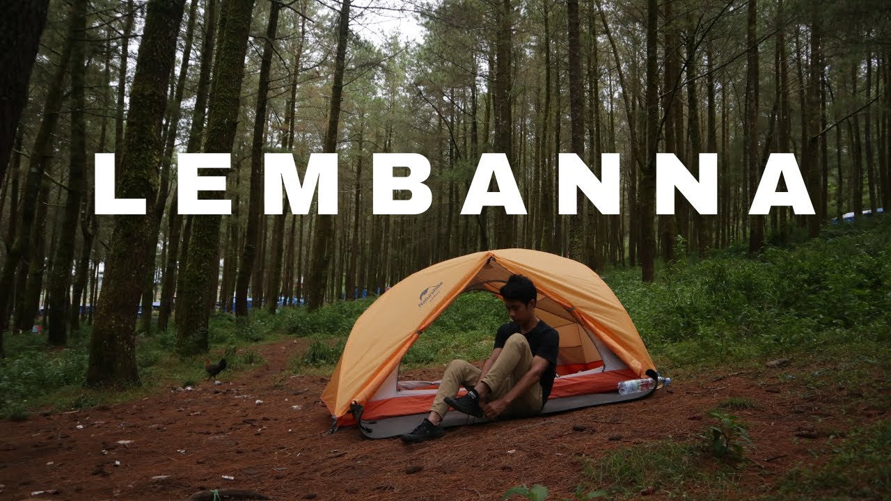 camping sendiri di hutan pinus
