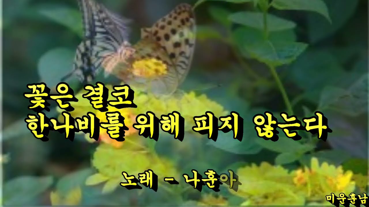 꽃은 결코 한나비를 위해 피지 않는다  -  나훈아