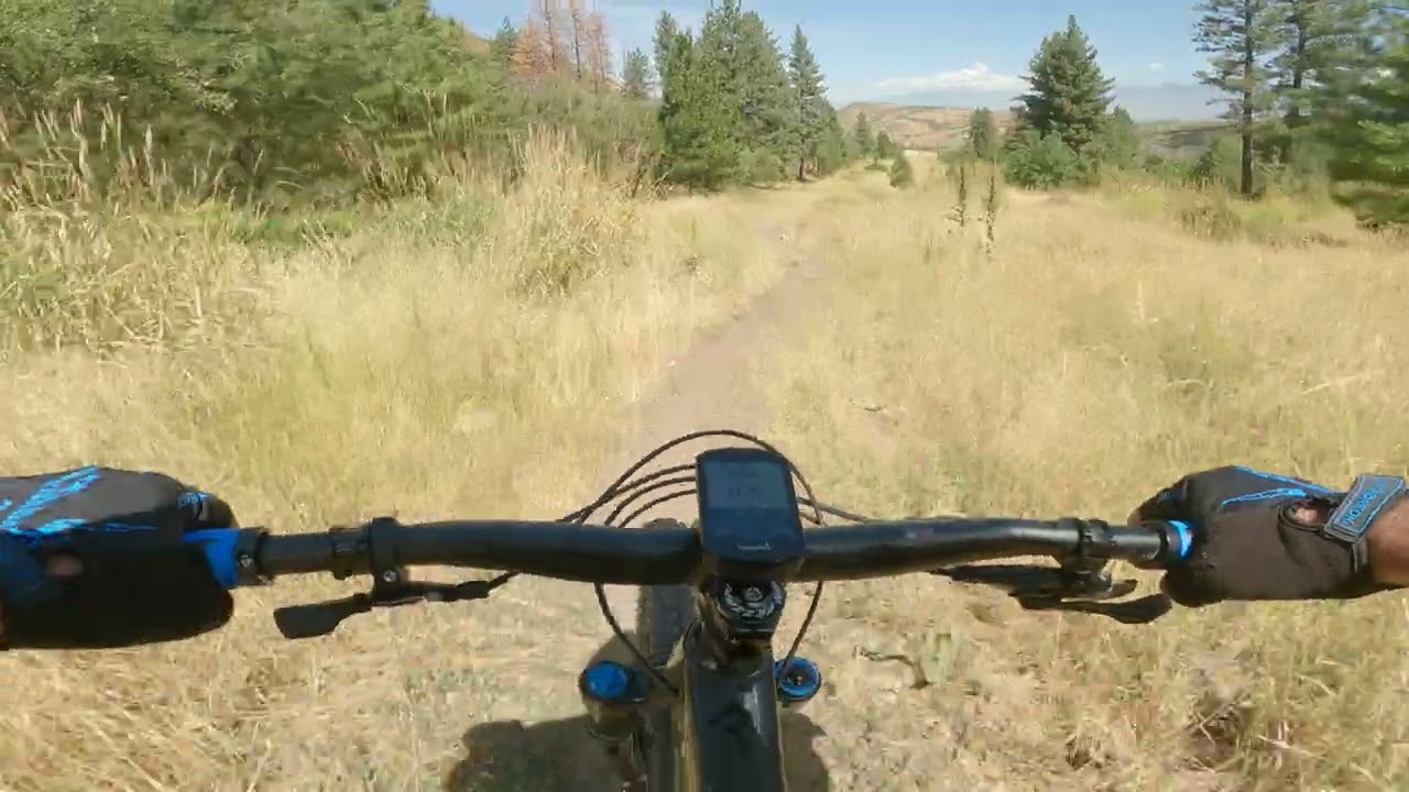 Pine Forest and Payson Pipeline Downhill